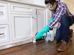 Best Real Estate Pest Inspections  in Chenoweth, OR